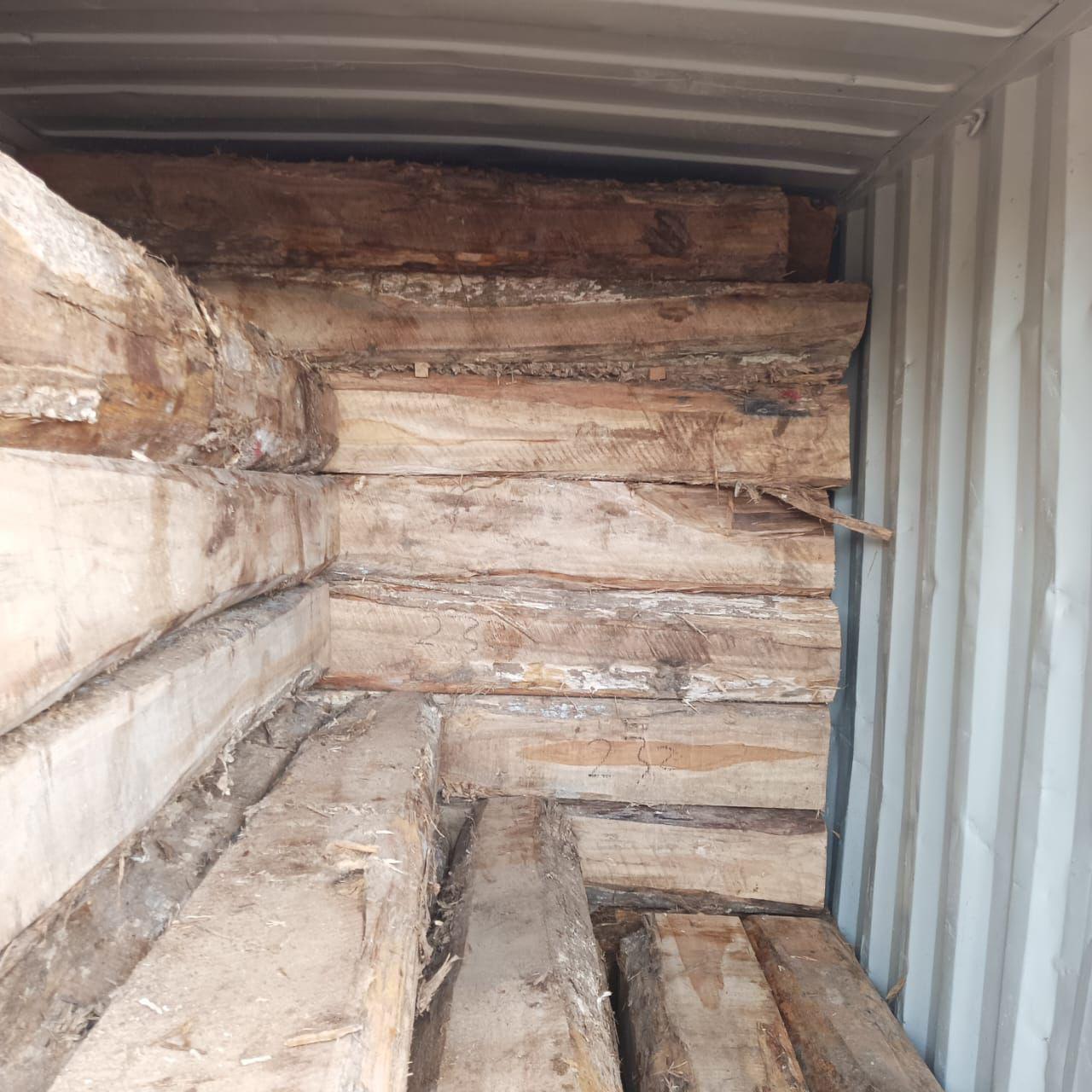 Ecuador Teak 4